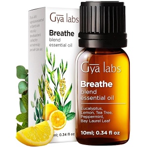 Gya Labs Breathe - Mezclas de aceites esenciales, aceites esenciales 100% naturales para respirar fáciles de eucalipto, aceite de menta y más para limpiador humidificador (0.1 onzas)