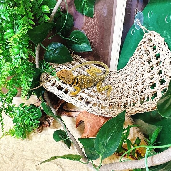 Hamaca de dragón barbudo, vides de la selva de reptiles, hojas flexibles de reptiles con ventosas para subir ramas de hábitat, tumbona, accesorios camaleón, lagartijas gecko ranas Iguana serpientes - Image 4