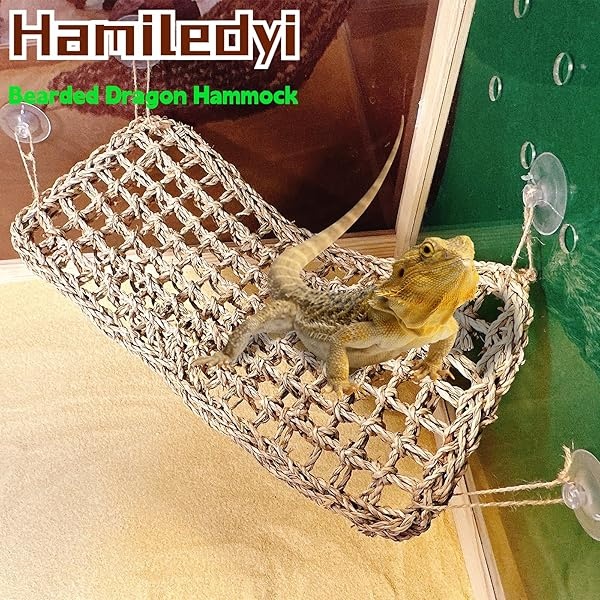 Hamaca de dragón barbudo, vides de la selva de reptiles, hojas flexibles de reptiles con ventosas para subir ramas de hábitat, tumbona, accesorios camaleón, lagartijas gecko ranas Iguana serpientes - Image 8