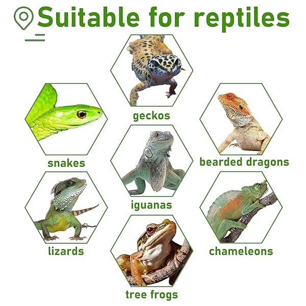 Hamiledyi Kit de accesorios de dragón barbudo, hamaca de lagarto, correa ajustable, alas de murciélago, plantas de reptiles, vid falsa, decoración de hábitat para escalada, lagartos camaleón, serpientes geco - Image 9