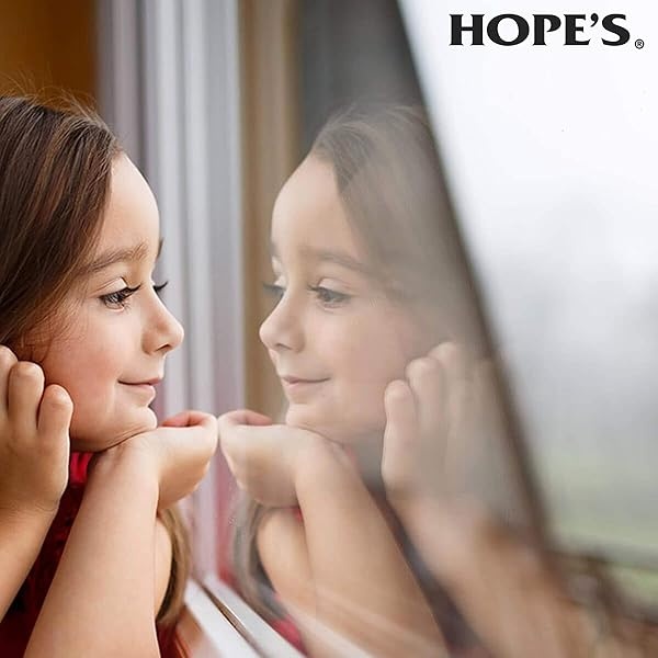 Hope's Perfect - Spray de limpieza de vidrio, ventana, estufa, limpiador de espejo, sin rayas, menos limpieza, sin residuos, 32 onzas, paquete de 1 con paño de microfibra - Image 8