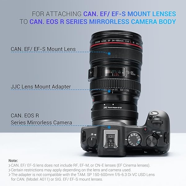 JJC EF-EOS R Adaptador de Montaje de Lente Objetivo Adaptador de Enfoque automático de Metal para Canon Sigma Tamron EF EF-S Lente a Cámara Canon EOS R8 R50 R6 Mark II R RP R3 R5 R6 R7 R10 - Image 4