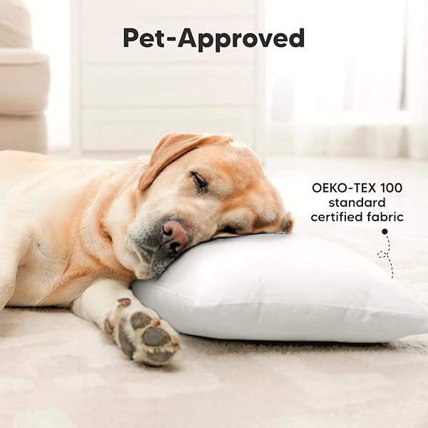 KeaSafari - Juego de 2 fundas de almohada de algodón suave de 45,7 x 33 cm para bebés, recién nacidos, bebés y niños pequeños (se venden por separado, lavable a máquina y apto para secadora), color blanco - Image 9