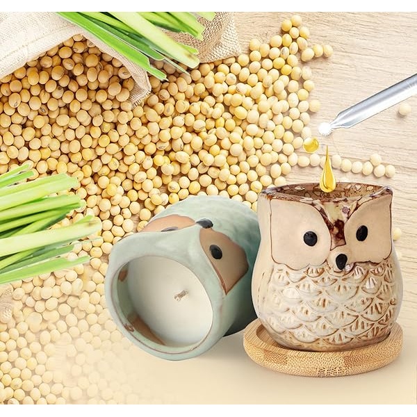 Kinforse - Velas de citronela para exteriores, ideas de regalo para mujeres, 6 x 1.5 onzas, novedosas velas de soja de búho para juegos de regalo para mujeres, velas de aromaterapia a granel para - Image 4