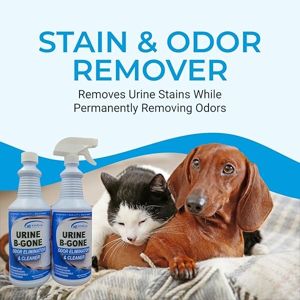 Kinzua - Orina ambiental B-Gone, eliminador profesional de olores enzimáticos y removedor de manchas para mascotas, limpiador de orina para seres humanos, gatos y perros, eficaz en la lavandería, - Image 3