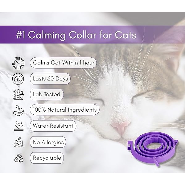 Kitty Co Collar calmante para Gatos | Alivio de la ansiedad de Gato con feromonas | Productos calmantes para Gatos | 4 Unidades - Image 3