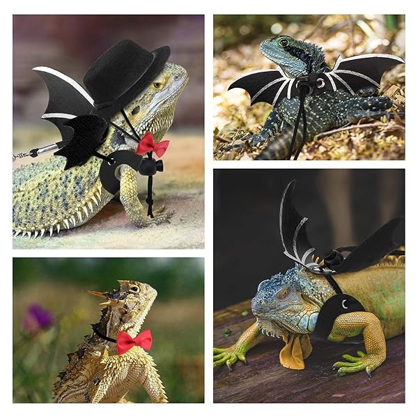 Lewondr Paquete de 3 correas de lagarto de dragón barbudo ajustable alas de murciélago con sombrero y lazo, correa de piel suave, 3 tamaños diferentes (S, M, L) para anfibios y otros animales de mascotas pequeñas, negro y rojo - Image 8