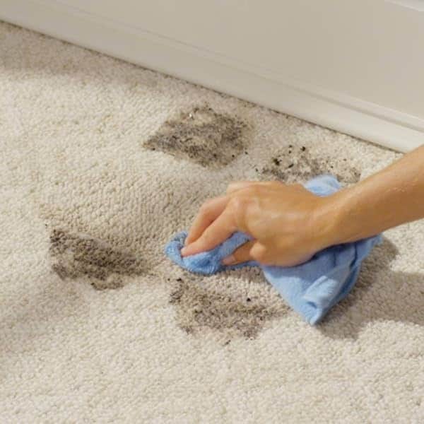 Limpiador de alfombras y tapicería bio-enzimático rejuvenecedor, 32 onzas líquidas Oz - Image 5