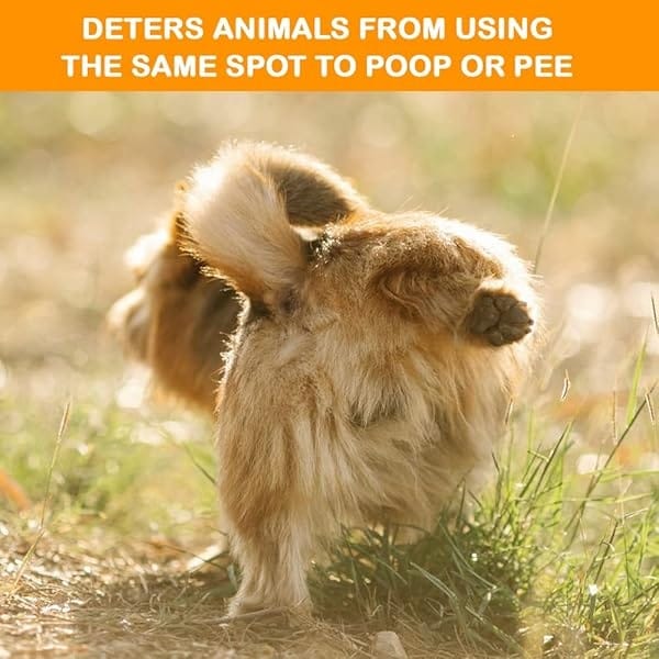 MICROBE-LIFT Eliminador de olores para mascotas al aire última intervensión para un fuerte olor en césped, patios, terraza y césped, evita que las mascotas vayan en el mismo lugar, 32 onzas - Image 6