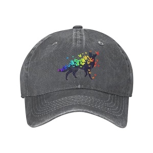 MORSNE Gay Hat Fashion Washable Adjustable Cool Baseball Caps Trucker Cap Dad Hat Running Hats for Men Women Unisex TeenagerQ