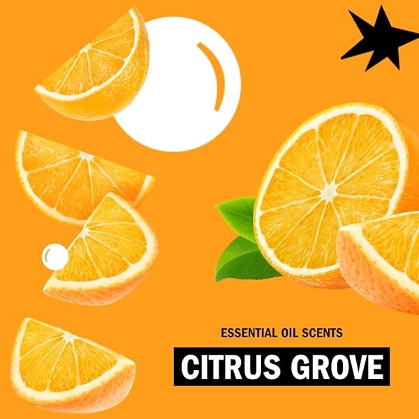 Molly's Suds Detergente en polvo original para ropa | Detergente natural para la ropa para pieles sensibles | Ingredientes derivados de la tierra, lucha contra las manchas | Aroma Citrus Grove, 120 cargas - Image 8