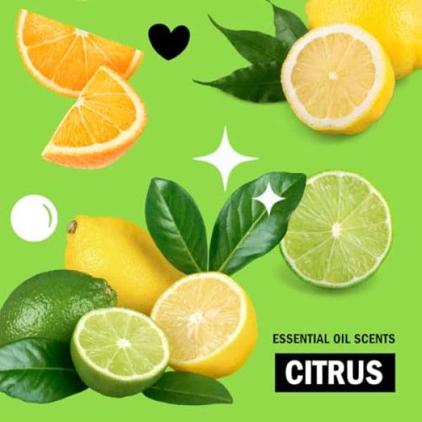 Molly's Suds - Exfoliante para fregadero - Image 8