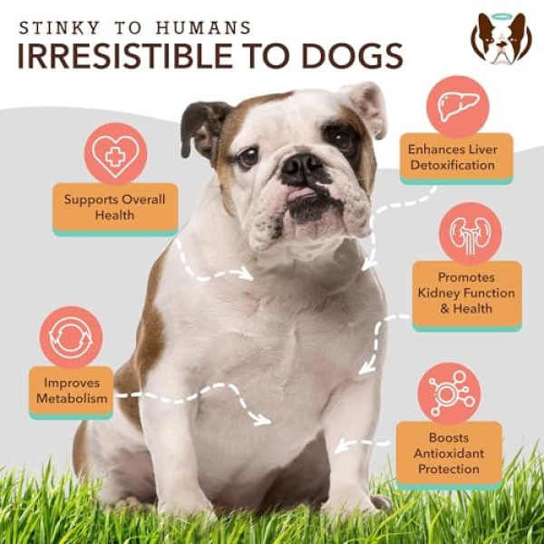 Natural Dog Company | Liver & Kidney | 90 Premios Antioxidantes para el Hígado y Riñón de los Perros. Detox de Sistema digestivo y riñones con Ingredientes Naturales. Controlan el Peso y Apetito. - Image 4