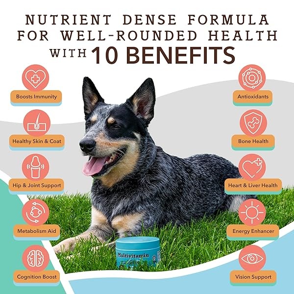 Natural Dog Company | Premios Multivitaminicos Sabor Pato (90 masticables) | vitaminas y minerales Que tu Perro Necesita - Image 3