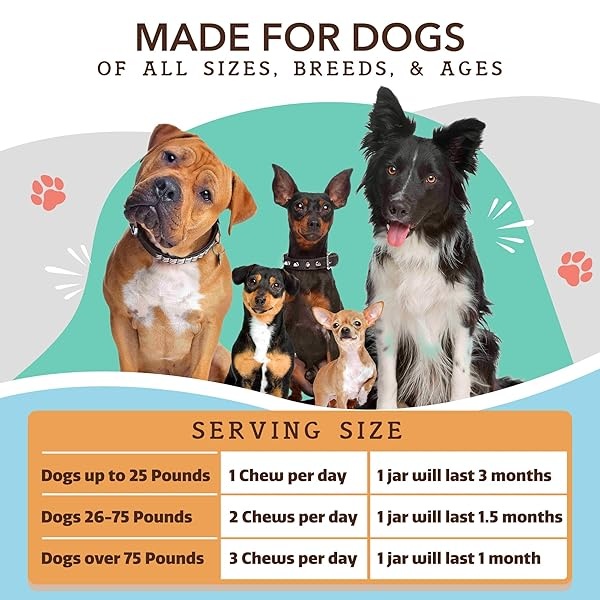 Natural Dog Company | Premios Multivitaminicos Sabor Pato (90 masticables) | vitaminas y minerales Que tu Perro Necesita - Image 8