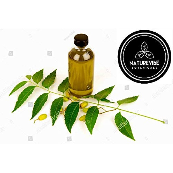 Naturevibe Botanicals Aceite de neem orgánico, 32 onzas | Azadirachta Indica | Aceite de neem 100% puro y natural - Image 4