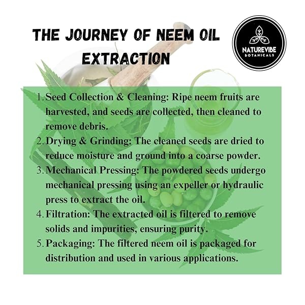 Naturevibe Botanicals Aceite de neem orgánico, 32 onzas | Azadirachta Indica | Aceite de neem 100% puro y natural - Image 6