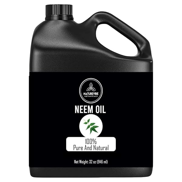 Naturevibe Botanicals Aceite de neem orgánico, 32 onzas | Azadirachta Indica | Aceite de neem 100% puro y natural