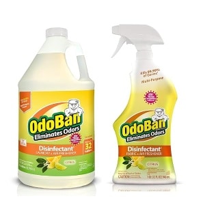 OdoBan Botella de spray lista para usar de 32 onzas y 1 galón concentrado, Cítrico