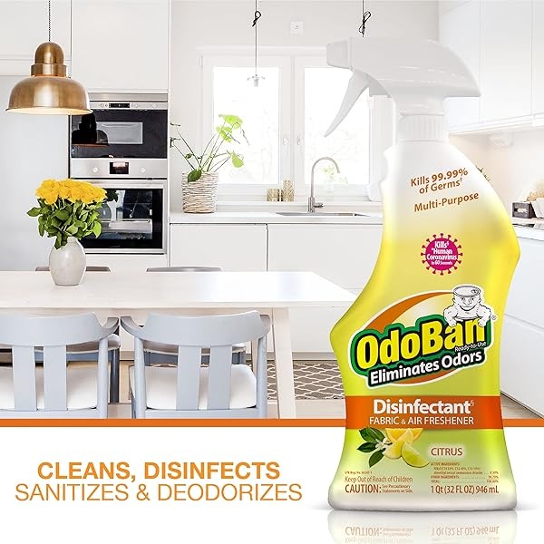 OdoBan Botella de spray lista para usar de 32 onzas y 1 galón concentrado, Cítrico - Image 10