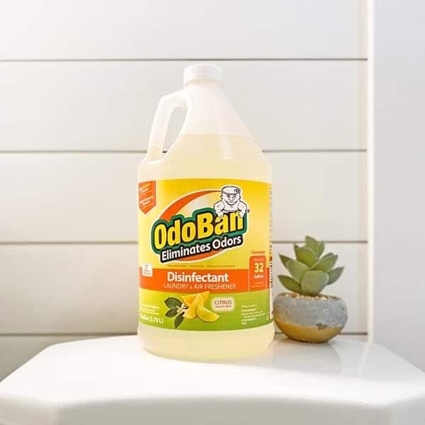 OdoBan Citrus Odor Eliminator and Disinfectant Multi-Purpose Cleaner Concentrate (2 Gal), 2 Pack - Image 8