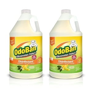OdoBan Concentrado de 1 galón, paquete de 2, aroma a cítricos, eliminador de olores, desinfectante, restauración de agua de fuego de inundación