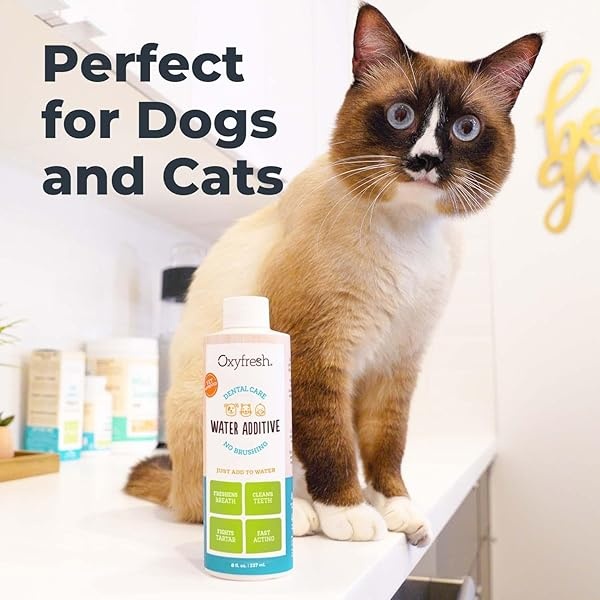 Oxyfresh - Aditivo para el cuidado dental para mascotas - La mejor manera de eliminar el mal aliento del perro y el aliento del gato - Lucha contra el sarro y la placa - tan fácil, solo tienes que añadir al agua. Recomendado por veterinarios. 16 onzas - Image 6