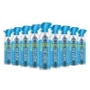 Oxygen Plus 99,5% Puro de oxígeno recreativo lleno en instalaciones registradas por la FDA – Restaura los niveles de oxígeno con suplemento de oxígeno, botes de oxígeno portátiles de 11 litros para energía natural, 9-Pack