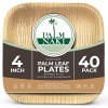 PALM NAKI - Platos pequeños cuadrados de hojas de palma (40 unidades) - Vajilla desechable, ecológicos, compostables y biodegradables (platos de 4 pulgadas)