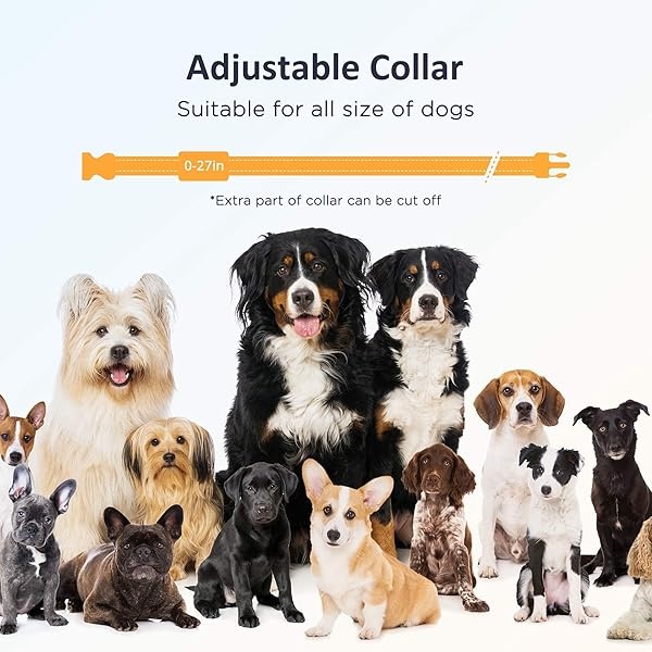 PATPET Collar de choque para perro con control remoto, 3 modos de entrenamiento seguros, recargable e impermeable, collar de entrenamiento para perros pequeños, medianos y grandes (8-120 libras), collar de corteza eléctrica de control de 3000 pies con control remoto - Image 3