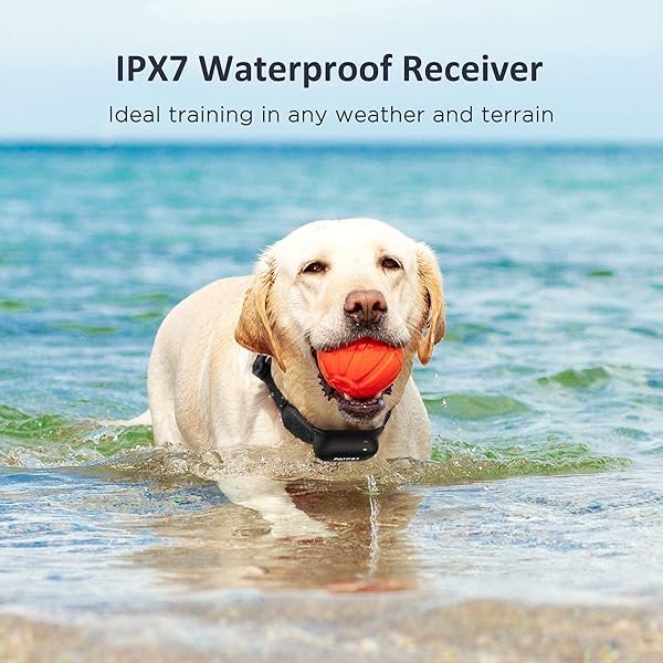 PATPET Collar de choque para perro con control remoto, 3 modos de entrenamiento seguros, recargable e impermeable, collar de entrenamiento para perros pequeños, medianos y grandes (8-120 libras), collar de corteza eléctrica de control de 3000 pies con control remoto - Image 5