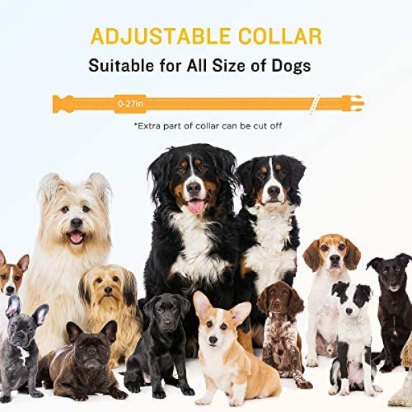 PATPET Collar de entrenamiento para perros, 2 receptores, recargable, IPX7, resistente al agua, con mando a distancia, 3 modos de entrenamiento, pitido, vibración y choque, perfecto para perros pequeños, medianos y grandes, dos - Image 4