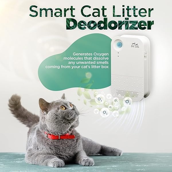 PETSOLE Desodorizador de arena para gatos sin perfume, eliminador de olores, 80% desodorización, 99,9% libre de polvo, 7 días de duración de la batería para todo tipo de arena para gatos, cuarto de baño, cocina - Image 3
