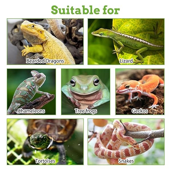 PINVNBY Hamaca de dragón barbudo, accesorios de tanque de dragón barbudo, vides escalador de selva, hojas flexibles de terrario de reptiles con ventosas, decoración de hábitat para camaleón, lagartos, - Image 8