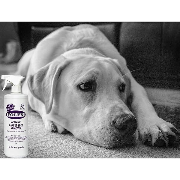Paño de limpieza absorbente + spray Folex para alfombras | Kit instantáneo para eliminar manchas de alfombras y alfombras, 32 onzas - Image 5