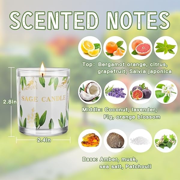 Paquete de 6 velas de salvia pura de larga duración, 3.5 onzas cada vela de salvia para limpiar la energía negativa de la casa, velas de salvia de cera de soja natural para el hogar, velas de mancha de salvia para relajarse y restaurar el cuerpo y la mente - Image 4