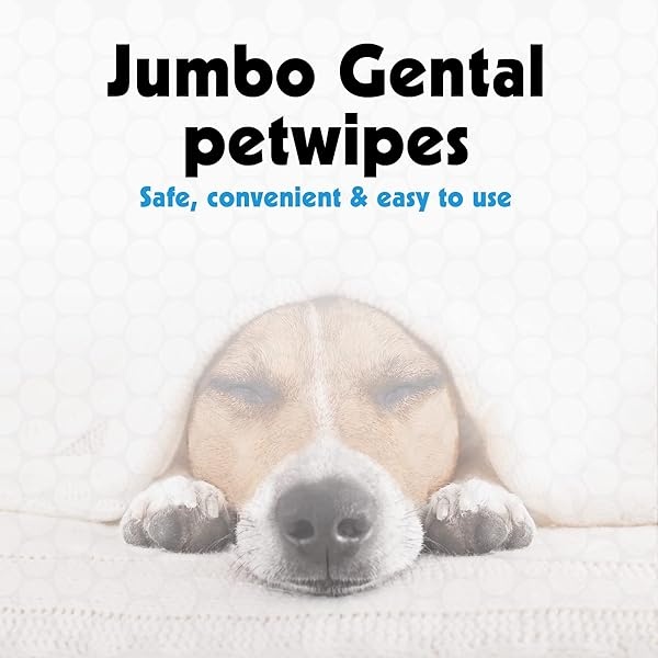 Petkin Jumbo Pet Eye Wipes, 80 toallitas extra húmedas, paquete de 2 – fórmula natural elimina suavemente la suciedad, la descarga y las manchas de desgarro – Seguro, conveniente y fácil de usar toallitas para mascotas para perros, gatos, cachorros y gatitos - Image 4