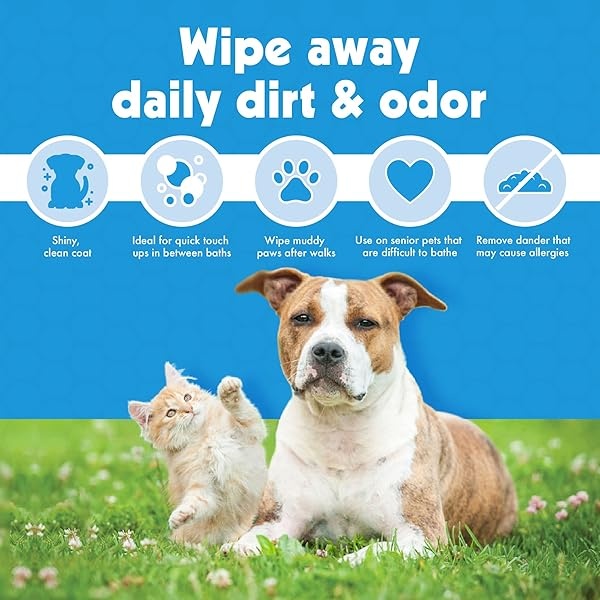 Petkin Jumbo Pet Eye Wipes, 80 toallitas extra húmedas, paquete de 2 – fórmula natural elimina suavemente la suciedad, la descarga y las manchas de desgarro – Seguro, conveniente y fácil de usar toallitas para mascotas para perros, gatos, cachorros y gatitos - Image 8