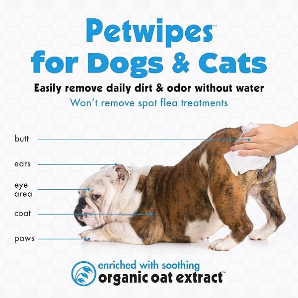 Petkin Petwipes, 400 toallitas – Big 'n Thick Extra Large Pet Wipes for Dogs and Cats – Limpia cara, orejas, cuerpo y zona de los ojos – Súper conveniente, ideal para el hogar o viajes – 4 paquetes de 100 toallitas - Image 4