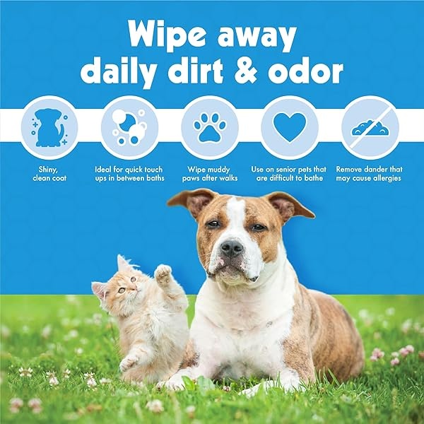 Petkin Petwipes, 400 toallitas – Big 'n Thick Extra Large Pet Wipes for Dogs and Cats – Limpia cara, orejas, cuerpo y zona de los ojos – Súper conveniente, ideal para el hogar o viajes – 4 paquetes de 100 toallitas - Image 8