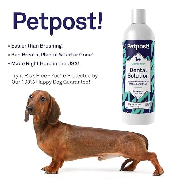 Petpost | Solución dental para perros - Aditivo de agua que elimina el mal aliento - Placa y caries dentales - Solución natural de limpieza de dientes - Image 3