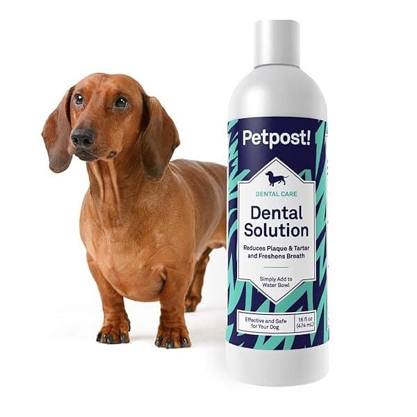 Petpost | Solución dental para perros - Aditivo de agua que elimina el mal aliento - Placa y caries dentales - Solución natural de limpieza de dientes - Image 6