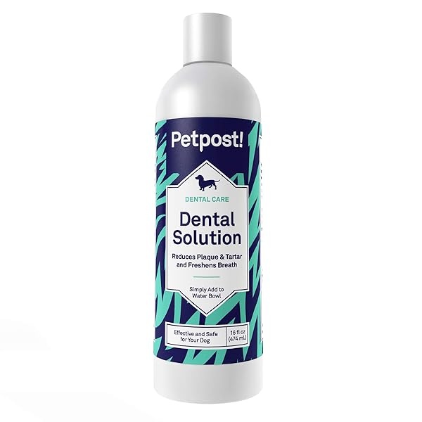 Petpost | Solución dental para perros - Aditivo de agua que elimina el mal aliento - Placa y caries dentales - Solución natural de limpieza de dientes