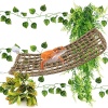 PietyPet Accesorios de dragón barbudo, hamaca de dragón barbudo, decoración de reptil, accesorios de tanque de gecko de leopardo, hamaca de reptil con plantas de vides trepadoras de selva, plantas para camaleón, lagartos, geco, serpientes