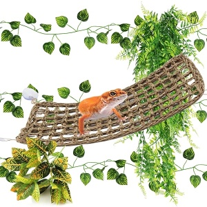 PietyPet Accesorios de dragón barbudo, hamaca de dragón barbudo, decoración de reptil, accesorios de tanque de gecko de leopardo, hamaca de reptil con plantas de vides trepadoras de selva, plantas para camaleón, lagartos, geco, serpientes