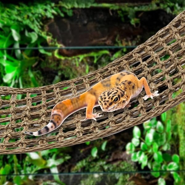 PietyPet Accesorios de dragón barbudo, hamaca de dragón barbudo, decoración de reptil, accesorios de tanque de gecko de leopardo, hamaca de reptil con plantas de vides trepadoras de selva, plantas para camaleón, lagartos, geco, serpientes - Image 7