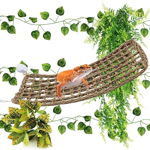 PietyPet Accesorios de dragón barbudo, hamaca de dragón barbudo, decoración de reptil, accesorios de tanque de gecko de leopardo, hamaca de reptil con plantas de vides trepadoras de selva, plantas para camaleón, lagartos, geco, serpientes
