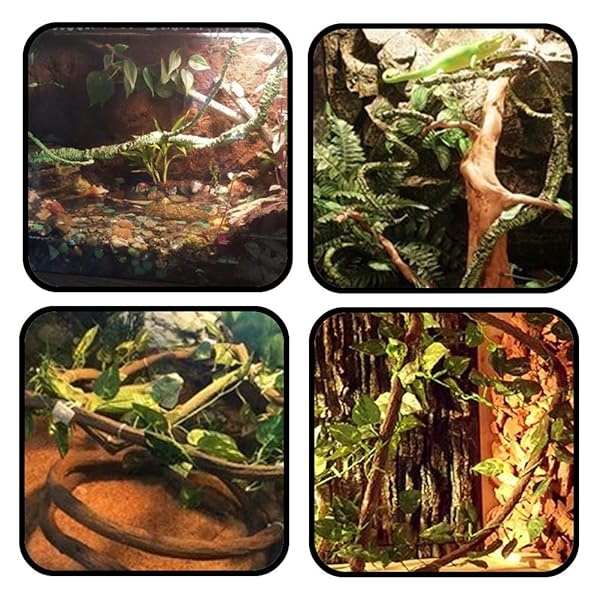 PietyPet Reptile Lagarto Hábitat Accesorios de decoración, hamaca de dragón barbuda, hamaca de reptil natural con enredaderas artificiales y plantas para camaleón, lagartos, gecko, serpientes - Image 7