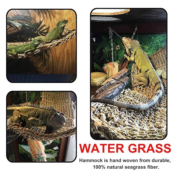 PietyPet Reptile Lagarto Hábitat Accesorios de decoración, hamaca de dragón barbuda, hamaca de reptil natural con enredaderas artificiales y plantas para camaleón, lagartos, gecko, serpientes - Image 8