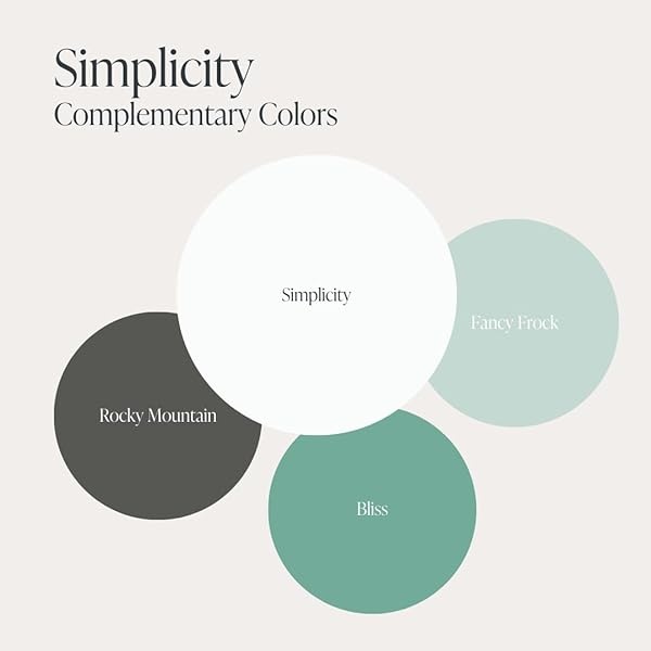 Pintura de estilo gis, para muebles, decoración del hogar, manualidades, respetuosa con el medio ambiente, todo en uno, no necesita cera (simplicidad [blanca], pinta (16 onzas)) - Image 8